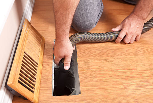 Air Duct Mold Removal in Elkton, KY